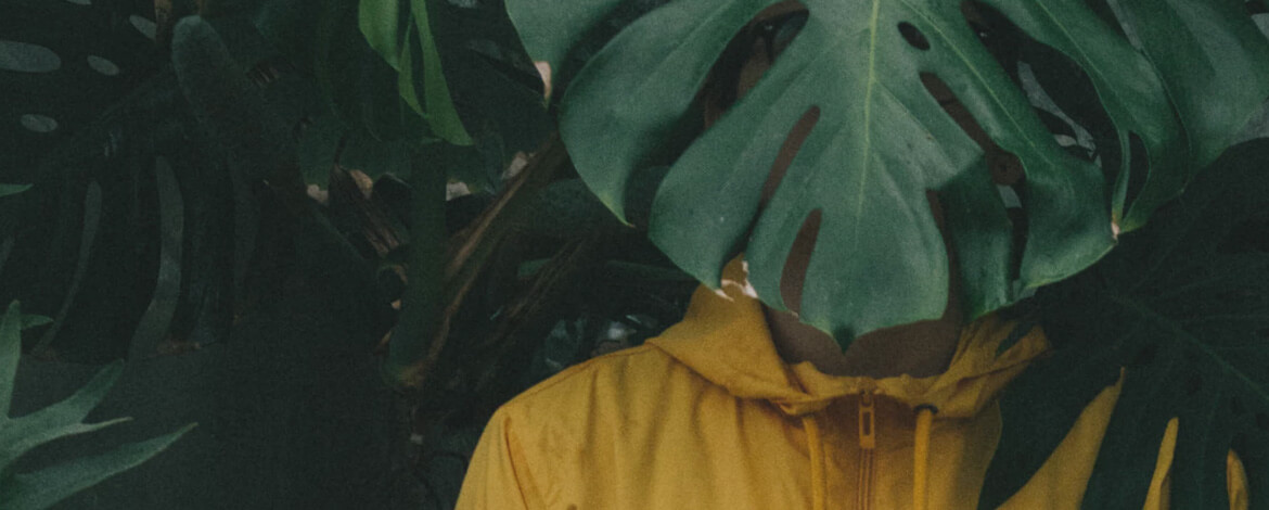 All-in-One Fashion Store